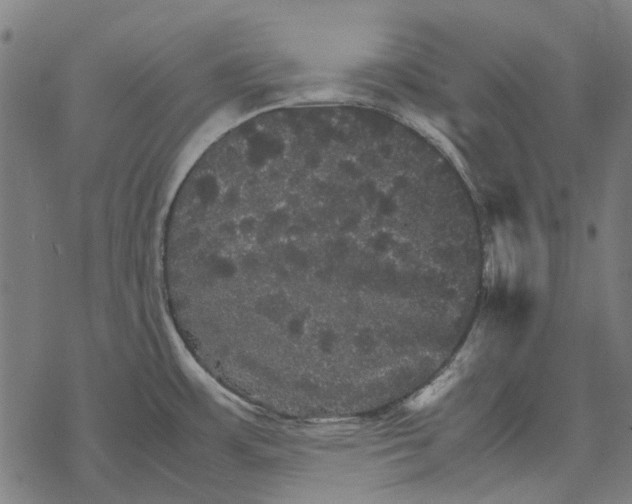 X0000067891483200605111838