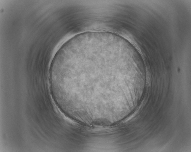 X0000067891486200605111838