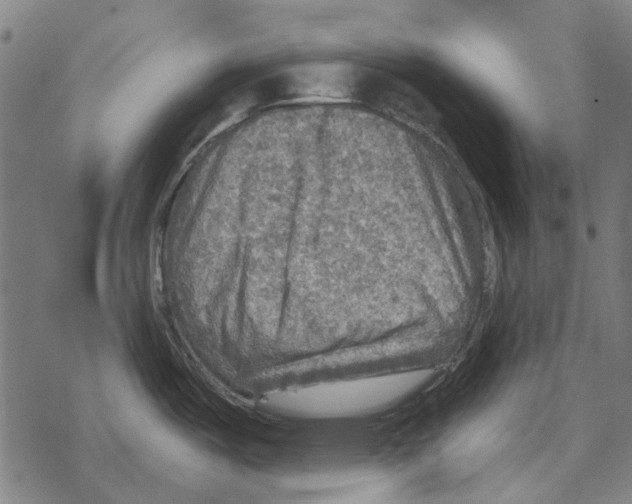 X0000067891487200605111838