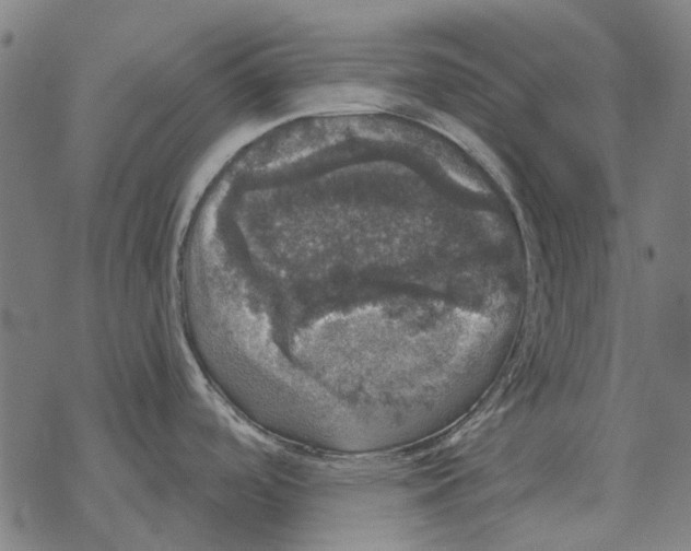 X0000067891488200605111838