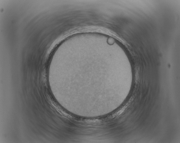 X0000067891498200605111837