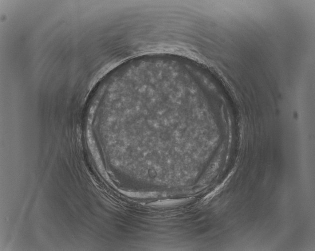 X0000067891505200605111837