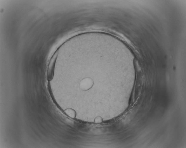 X0000067891512200605111838