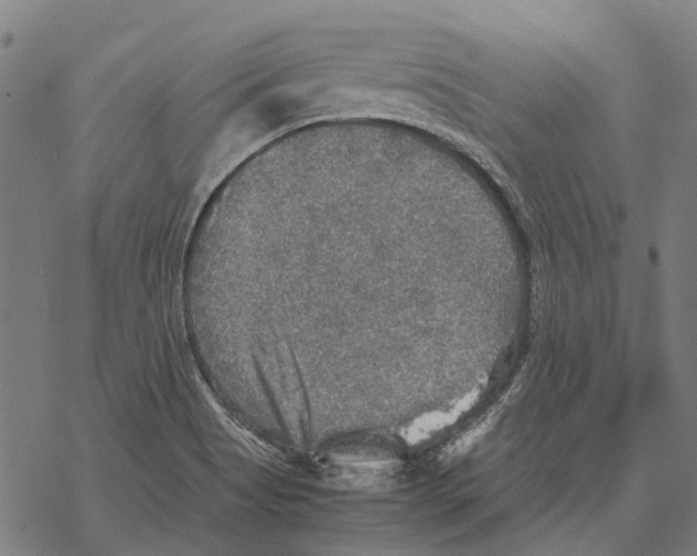 X0000067891513200605111838