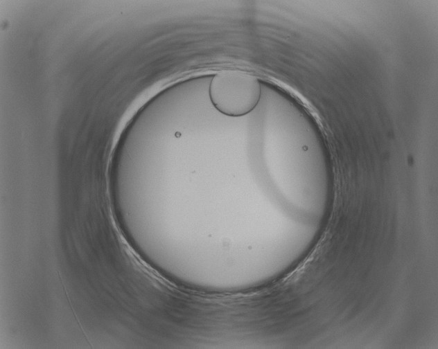 X0000067891514200605111838