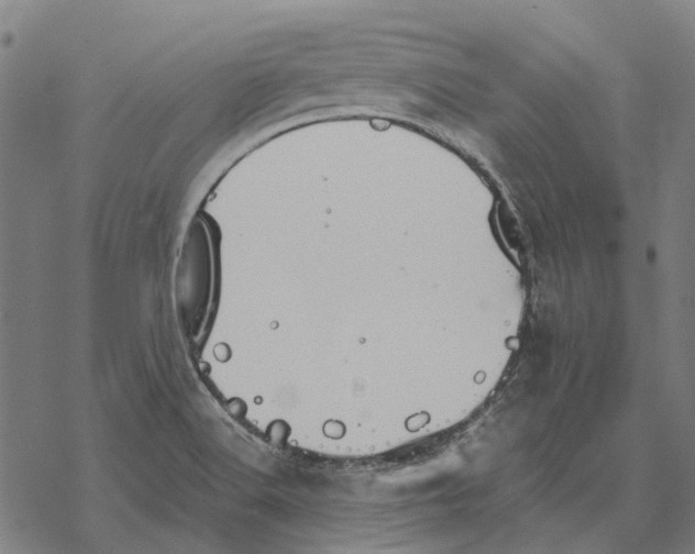 X0000067891516200605111838