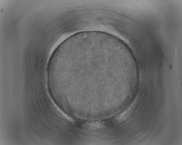 X0000067891517200605111838