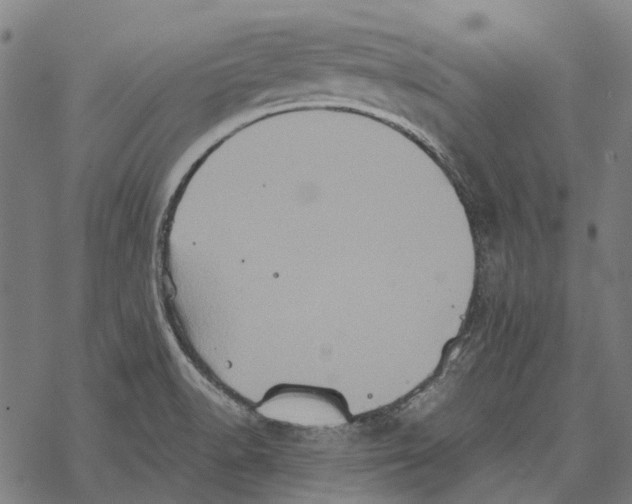 X0000067891518200605111838