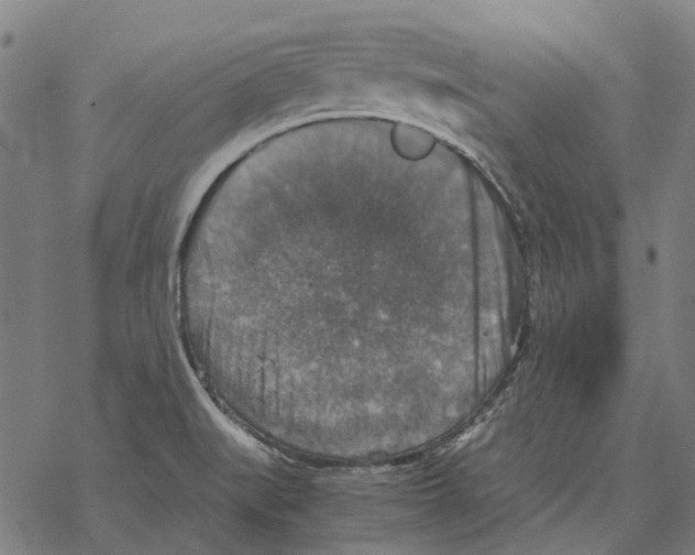 X0000067891519200605111838