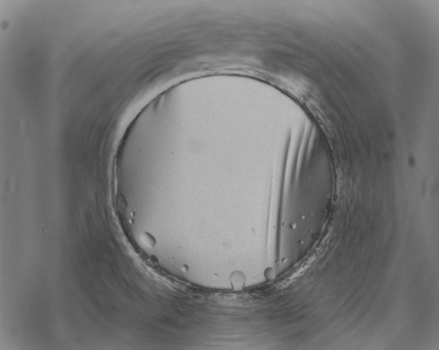 X0000067891520200605111838