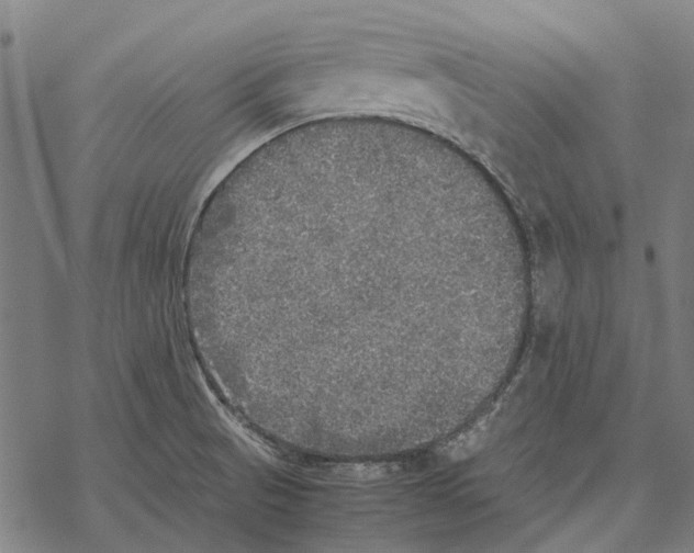 X0000067891521200605111838