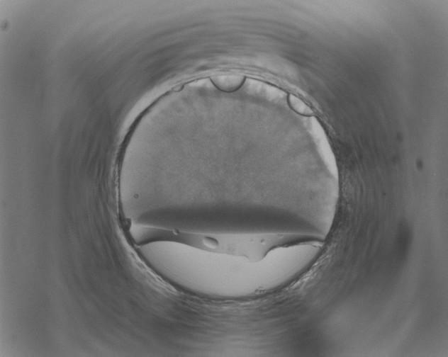 X0000067891522200605111838