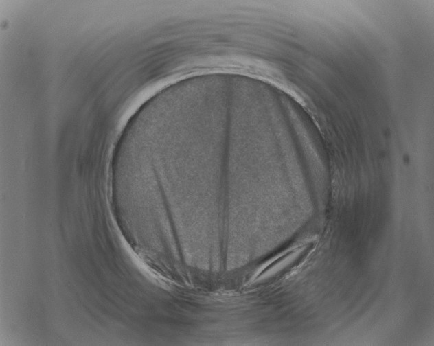 X0000067891523200605111838