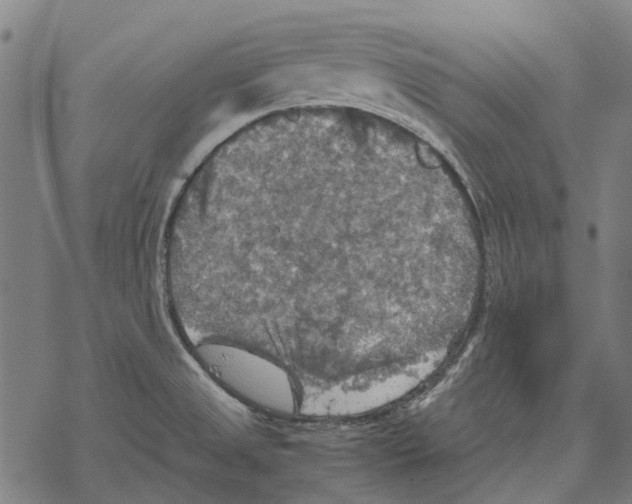 X0000067891525200605111838