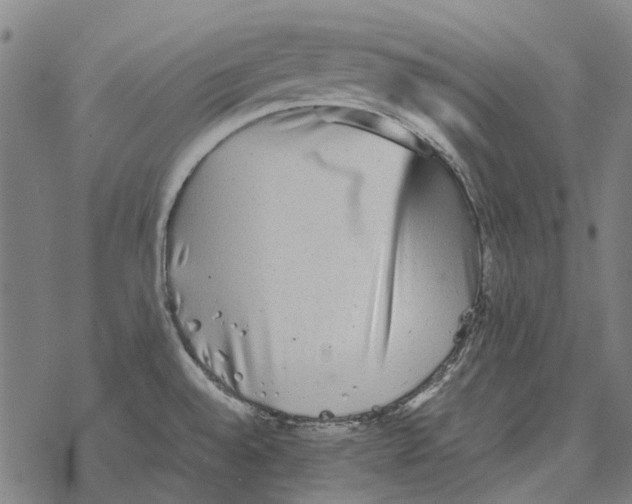 X0000067891528200605111838