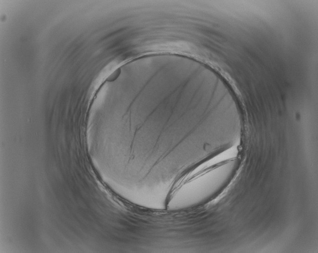 X0000067891529200605111838