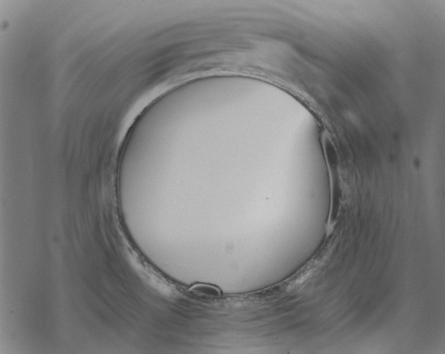 X0000067891530200605111838