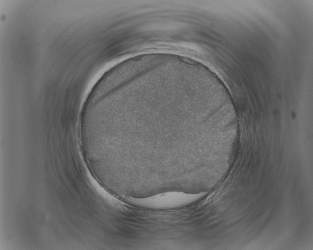 X0000067891531200605111838