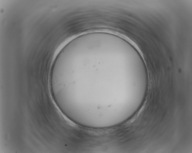 X0000067891533200605111838