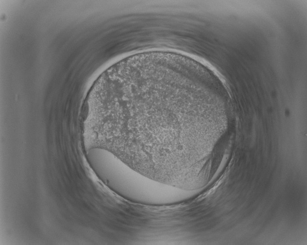 X0000067891534200605111838