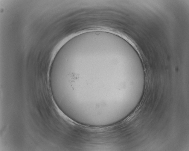 X0000067891535200605111838