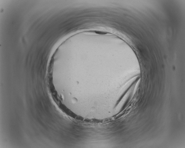 X0000067891536200605111838