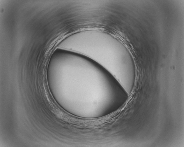 X0000067900001200604131050