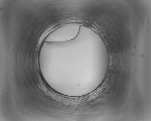 X0000067900004200604131050