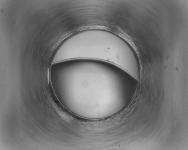 X0000067900013200604131050