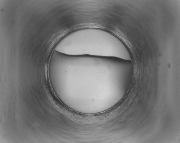 X0000067900014200604131050