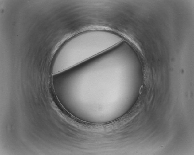 X0000067900015200604131050