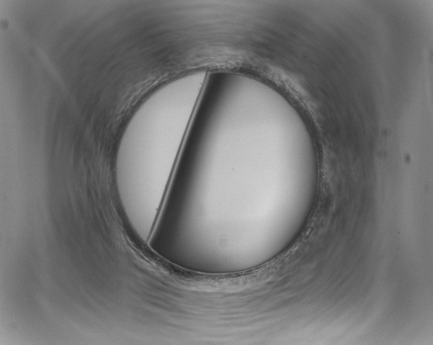 X0000067900017200604131050