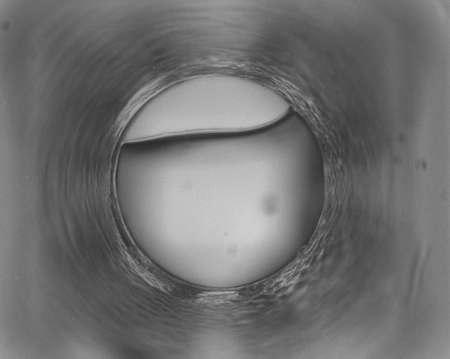 X0000067900051200604131048