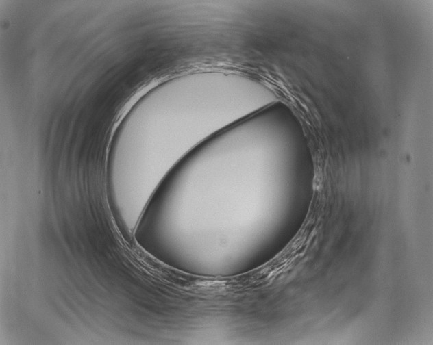 X0000067900052200604131048