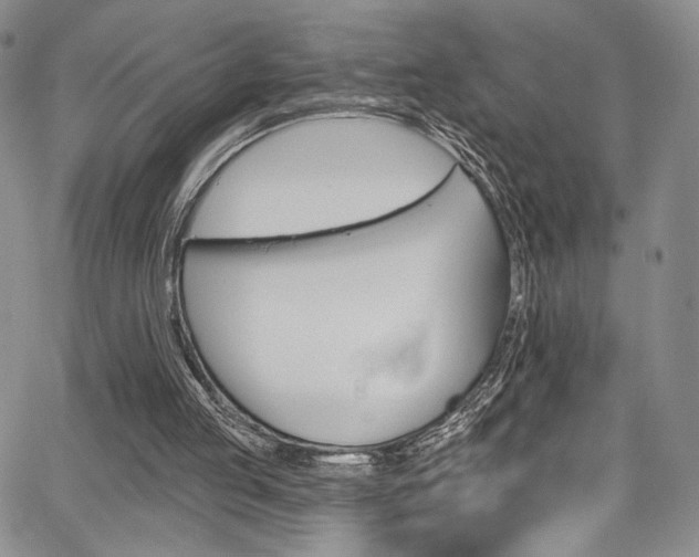 X0000067900053200604131048