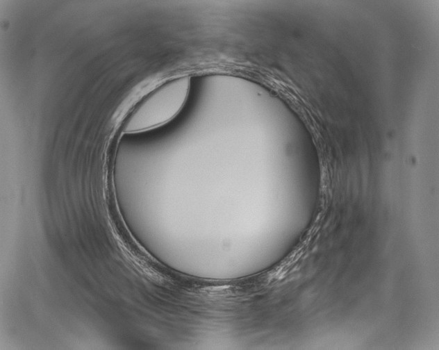 X0000067900054200604131048