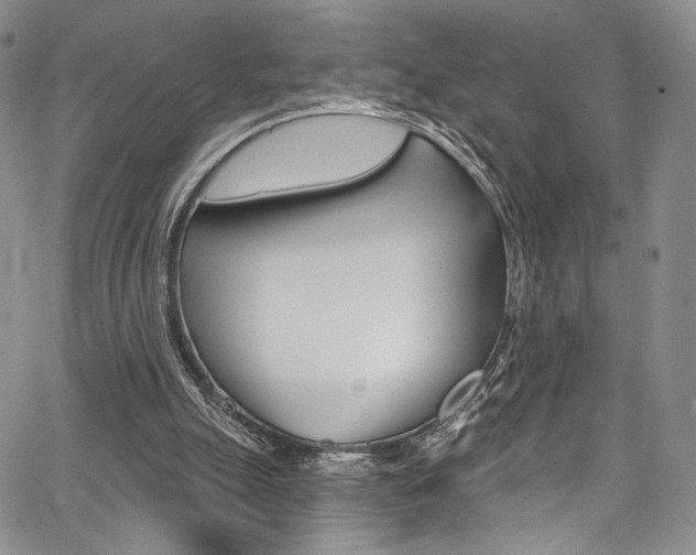 X0000067900055200604131048