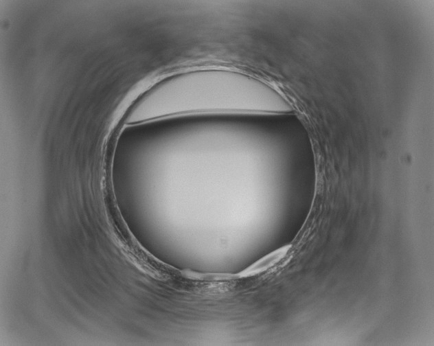 X0000067900056200604131048