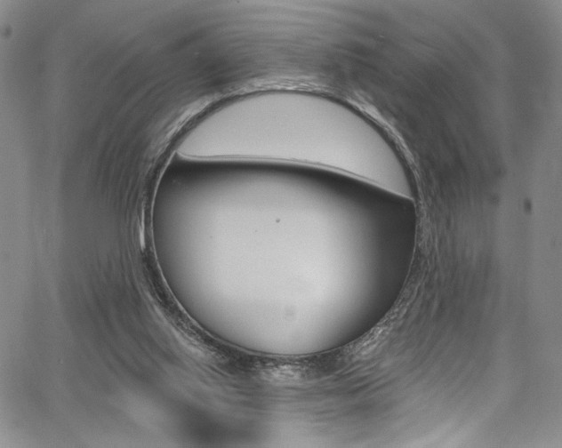 X0000067900062200604131049