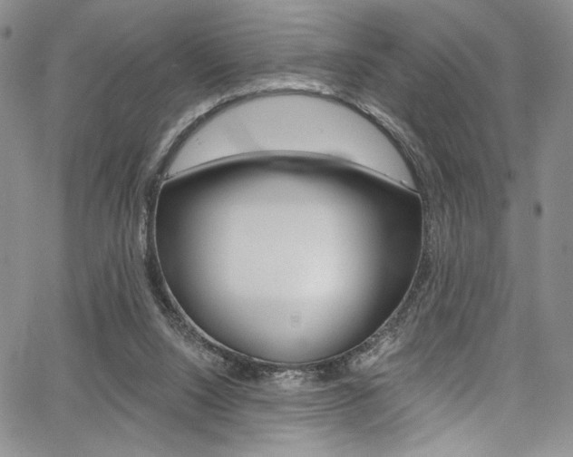 X0000067900064200604131049