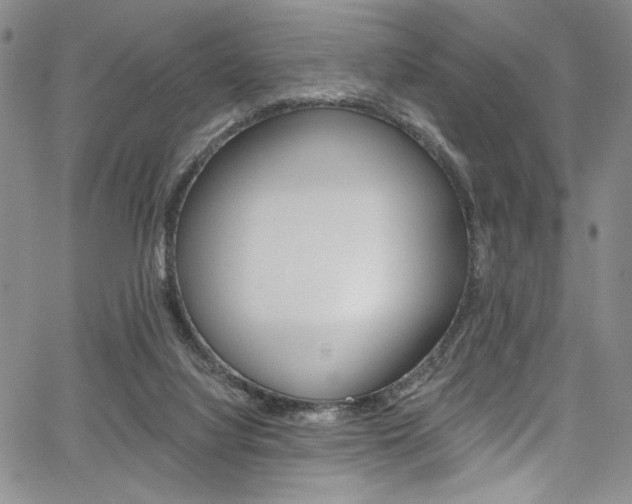 X0000067900068200604131049