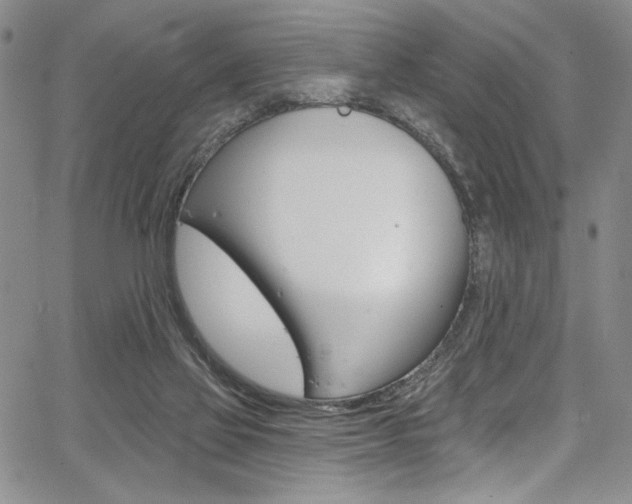 X0000067900069200604131049