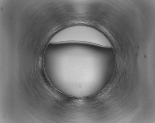 X0000067900071200604131049