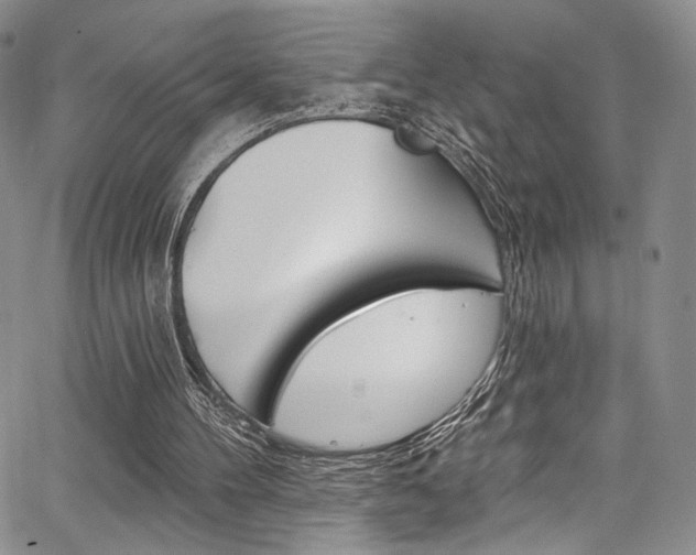X0000067900100200604131048