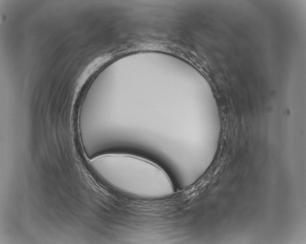 X0000067900104200604131048