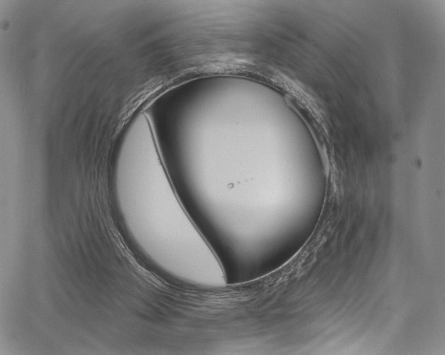 X0000067900105200604131048