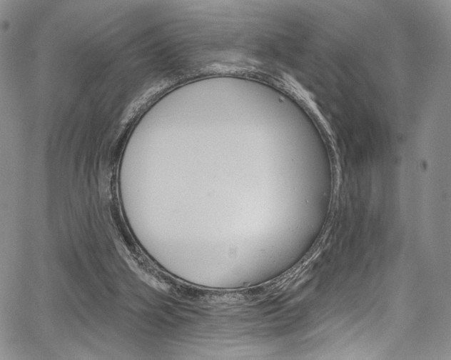 X0000067900106200604131048