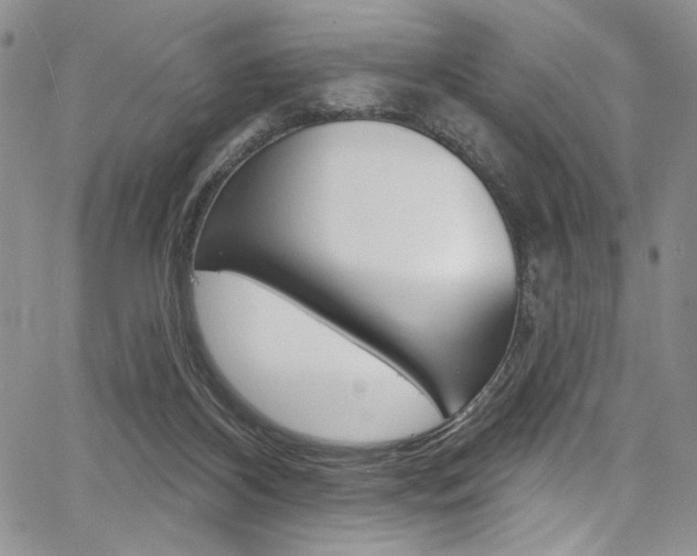 X0000067900116200604131048