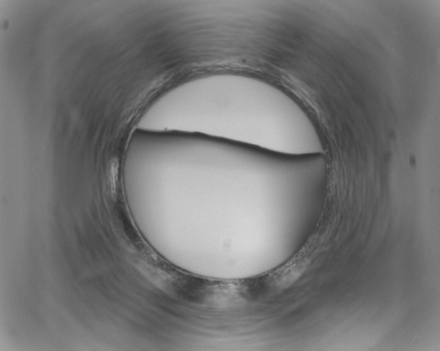 X0000067900118200604131048