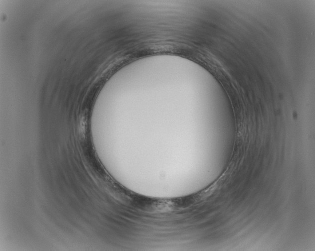 X0000067900124200604131048
